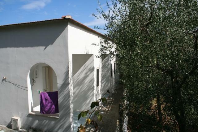 페스키치 Casa Vacanze Pizzone 아파트 외부 사진